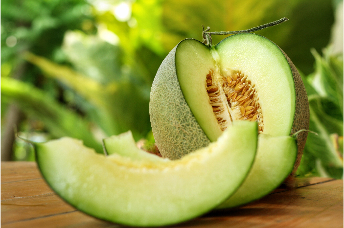 Khasiat Melon dalam Menurunkan Hipertensi