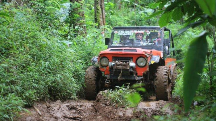 Tips Off-Road yang Aman untuk Meminimalkan Risiko