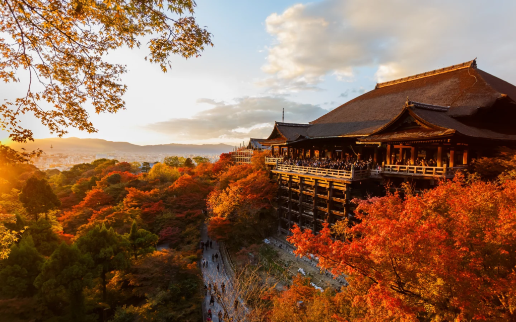 Destinasi Wisata di Jepang yang Cocok Dikunjungi Saat Musim Gugur